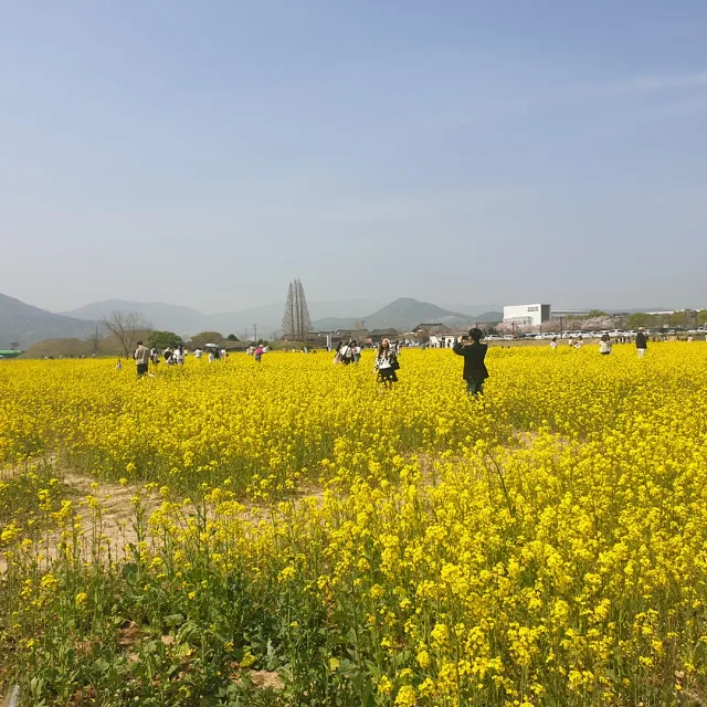 쁘띠디아블
