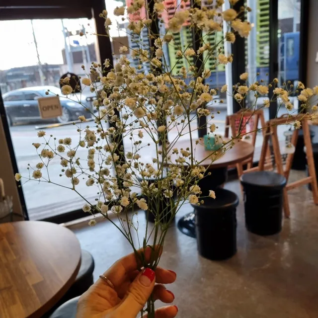 뱩설공주