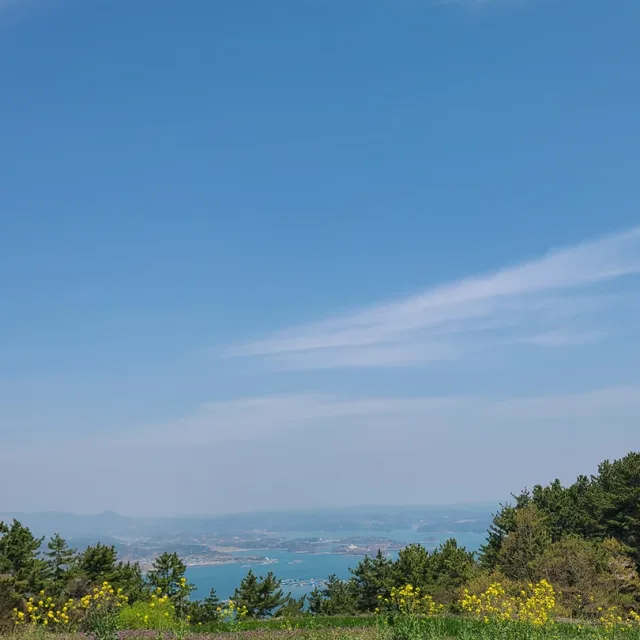 구름이