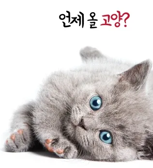 언제올고양