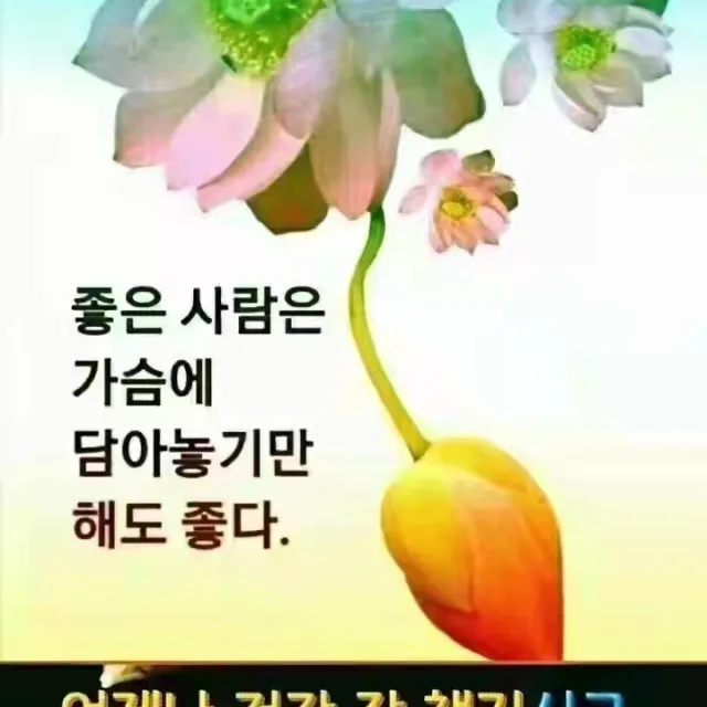 선인장
