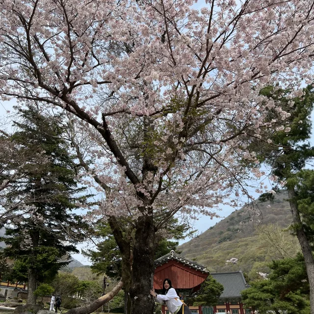 꼬꼬름