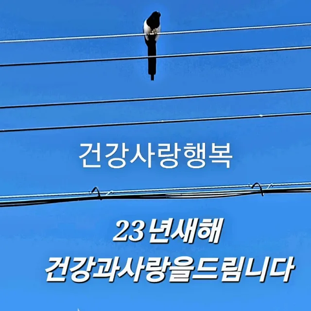 살내팔내