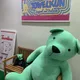 흰둥이토끼