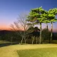 라파엘라
