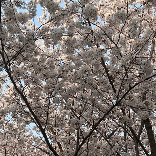뿡뿡