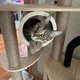 행복이
