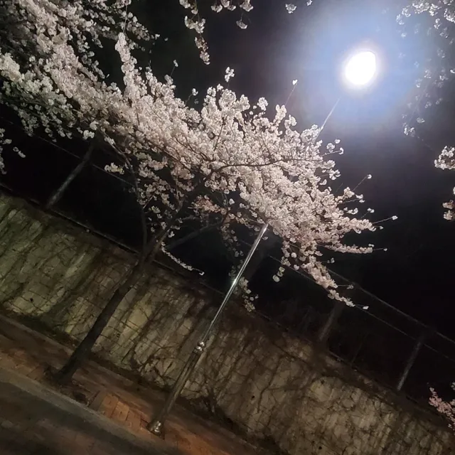 또또로