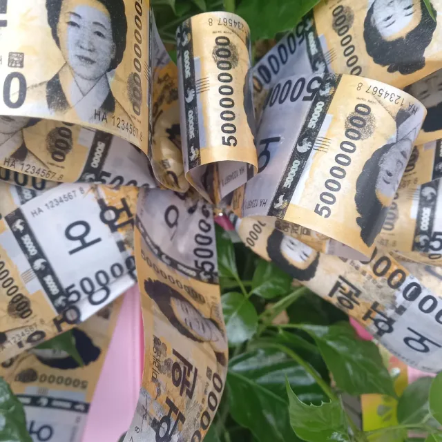 빛과그림자