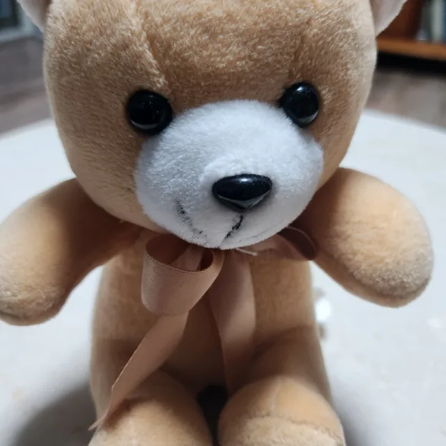 켈리