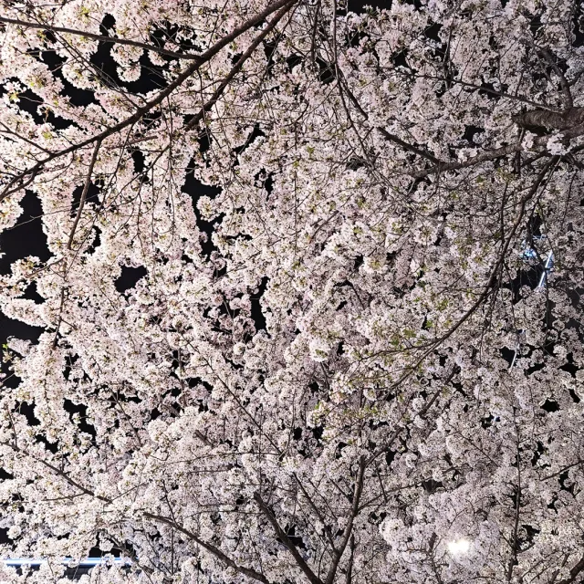 우이