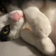 수구냐옹