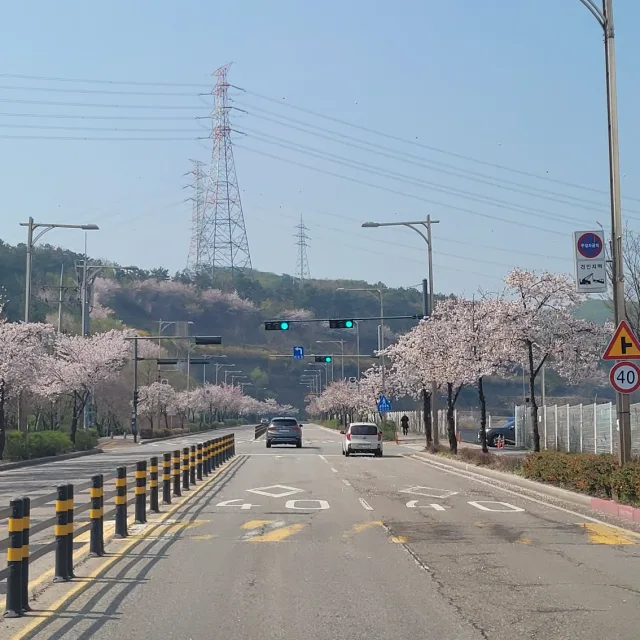 마달피