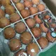 사이소