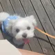 럭키언니