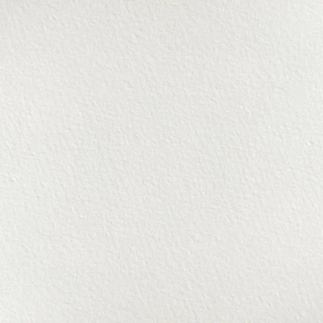 젤리여왕