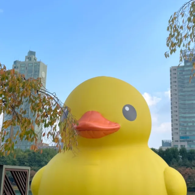 여수사람