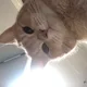 방촌역