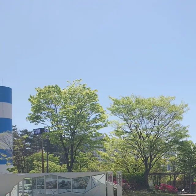 체리체리링