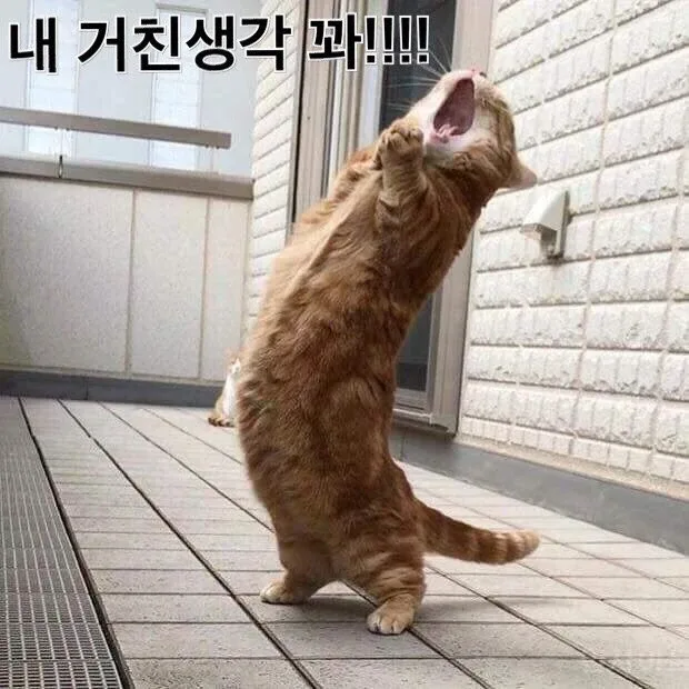 호호