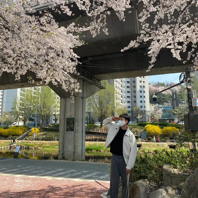 꿀거래