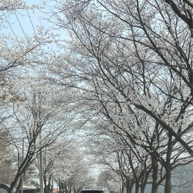 뾰로롱