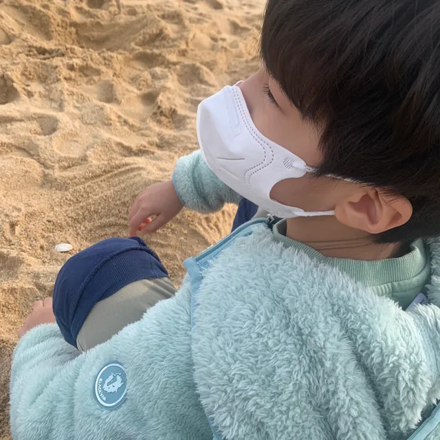 메이슨