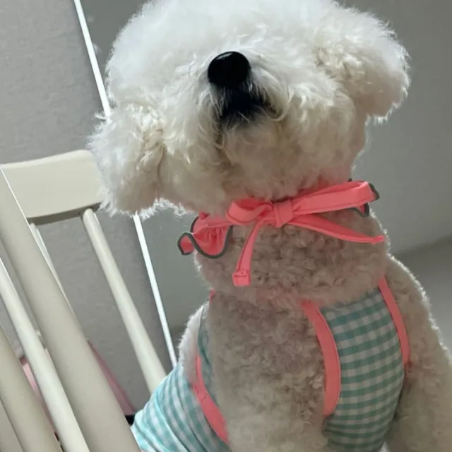 제시카고모