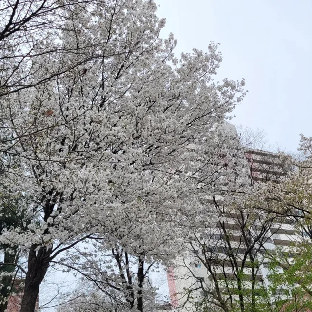 하늘