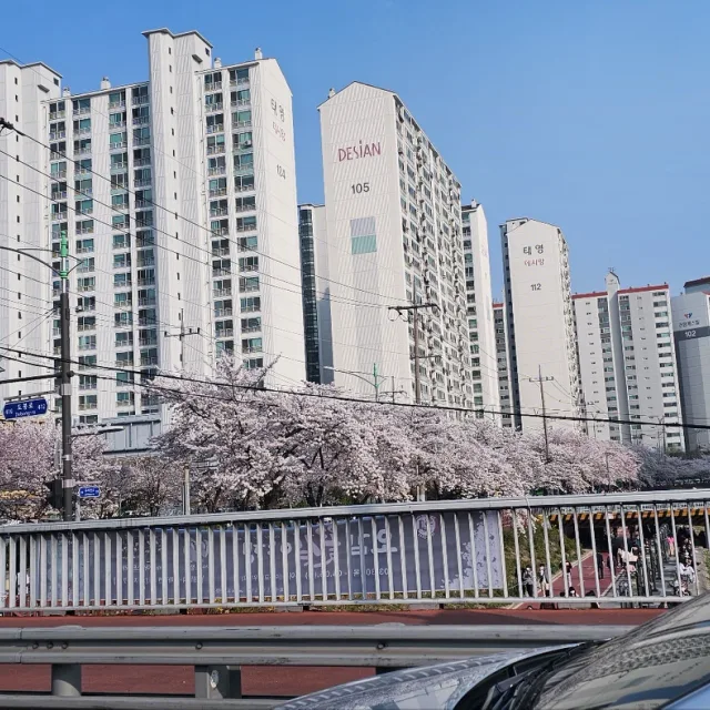 멜론스틱