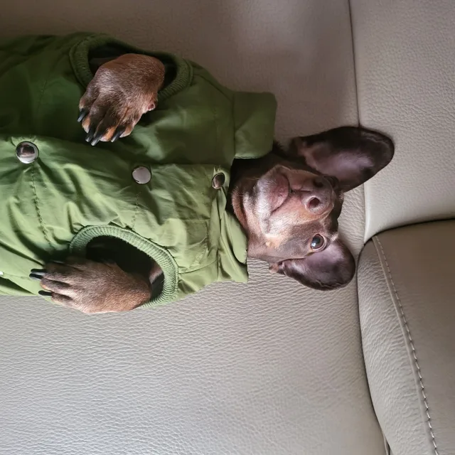 탄이엄마
