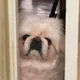거래는신중하게