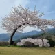 보석금전수