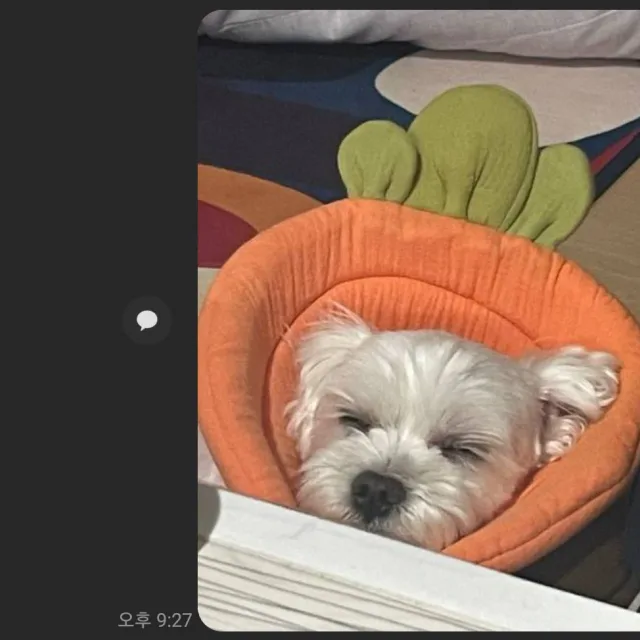 호령