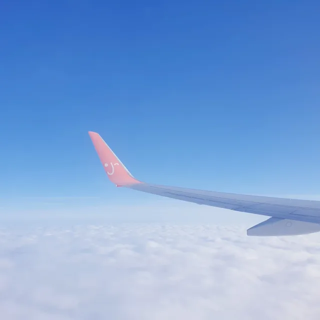 이코