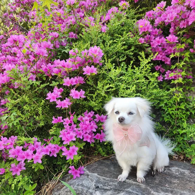 정리합니다