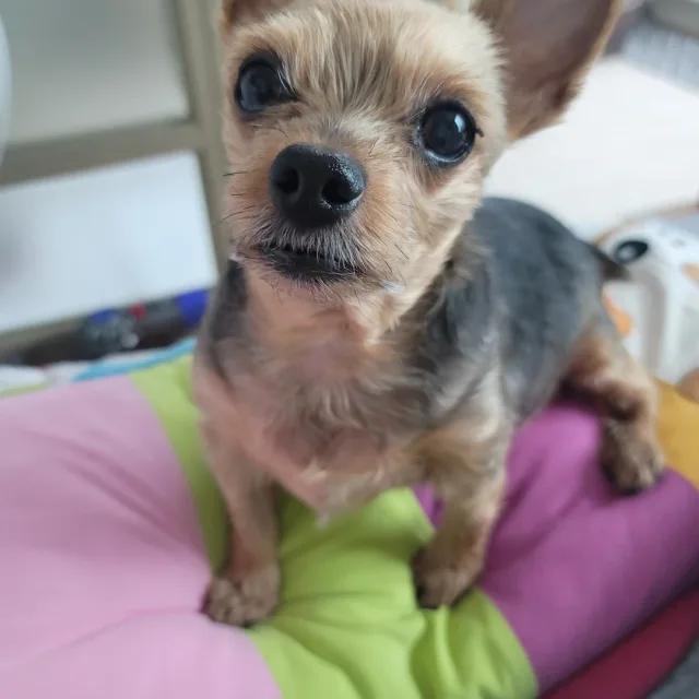 바다찡