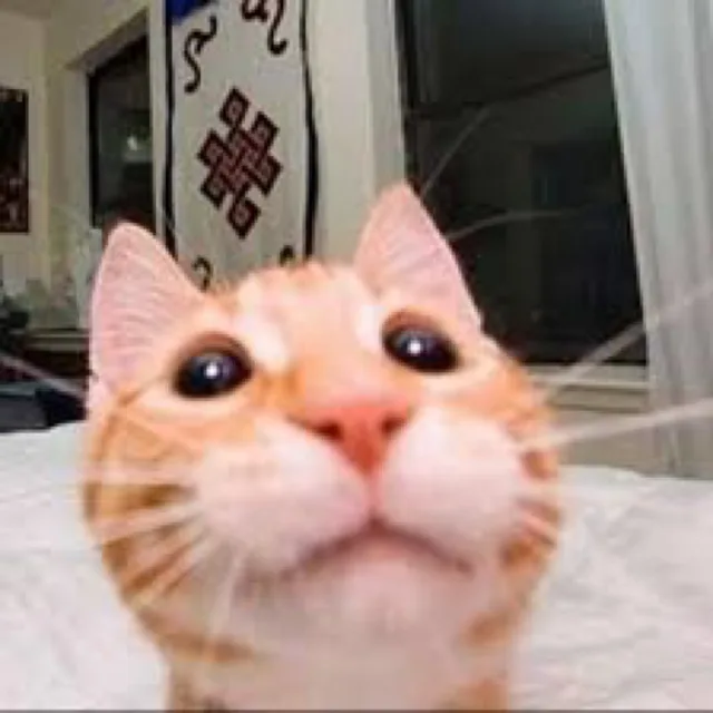 이에로사이다