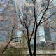 애구큐