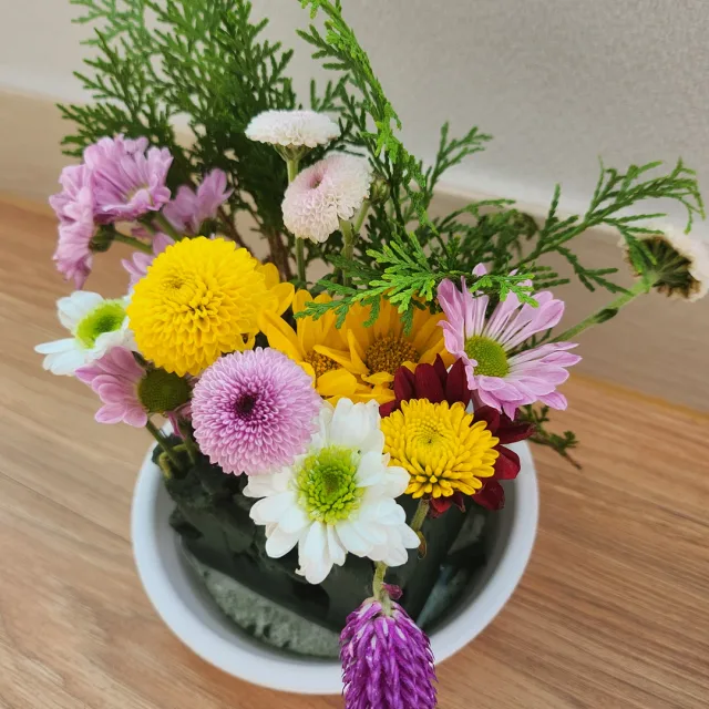당근홀릭