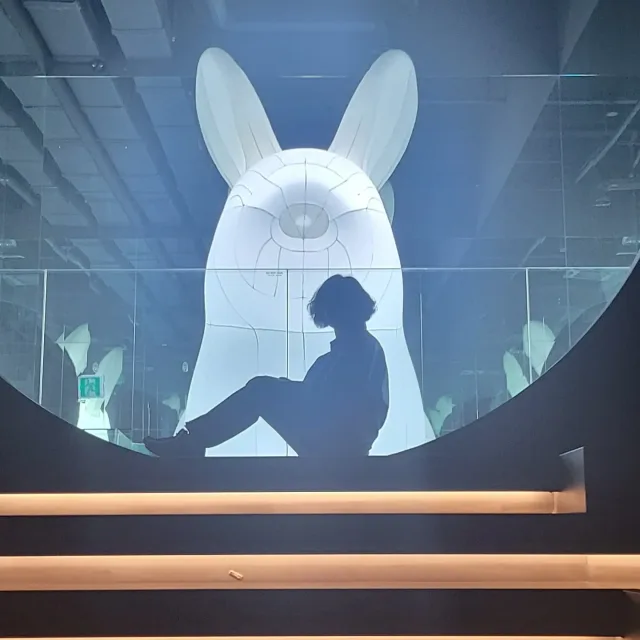 보석이