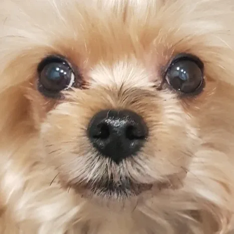 물결