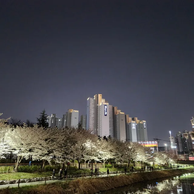 레오나