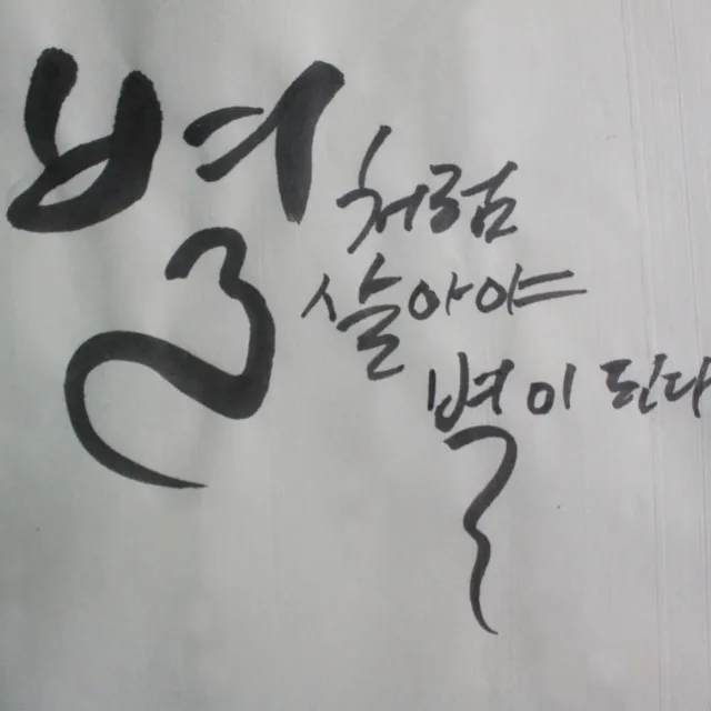 병아리가야옹