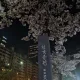 여의돌하루팡