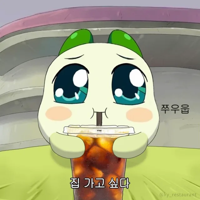 쿵야