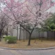 하늘색꿈