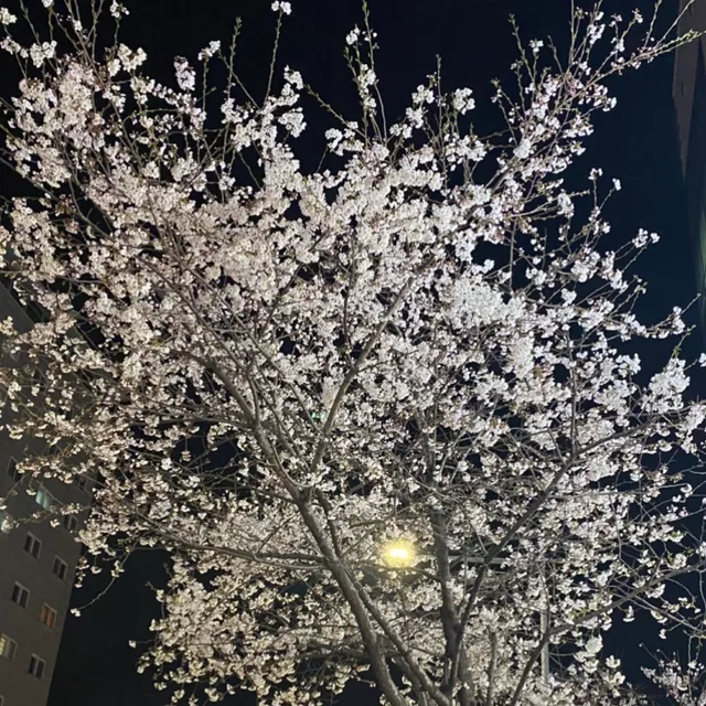 뿡뿡이