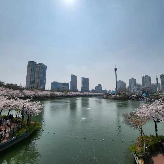 디토햐