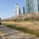 푸린